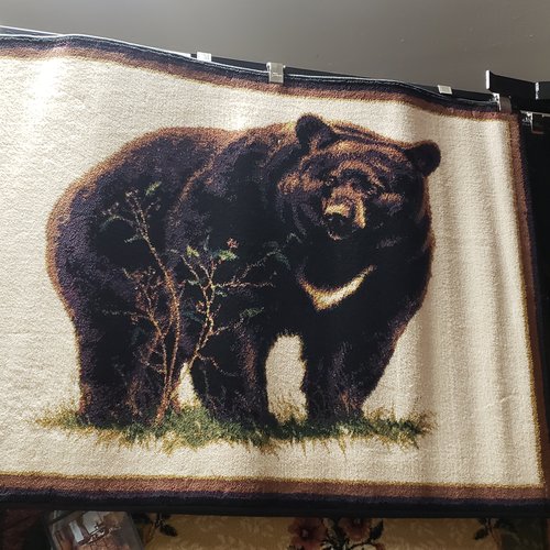 area rug Komplete Flooring Siren WI